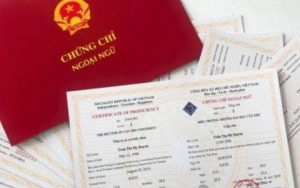 Bỏ chứng chỉ tin học, ngoại ngữ với viên chức ngành di sản văn hóa