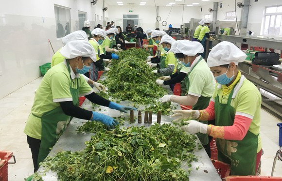 Thủ tục cấp giấy chứng nhận vệ sinh an toàn thực phẩm